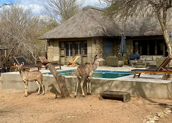 Luvivane Luxury Villa